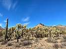 photo thumbnail #1