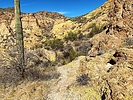 photo thumbnail #10