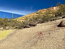 photo thumbnail #12