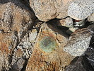 photo thumbnail #10