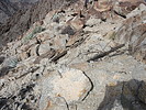 photo thumbnail #14