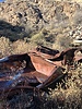photo thumbnail #1