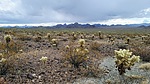 photo thumbnail #5