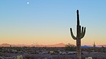 photo thumbnail #2