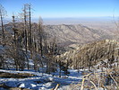 photo thumbnail #2