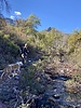 photo thumbnail #6