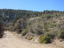 photo thumbnail #6
