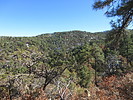 photo thumbnail #12