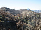 photo thumbnail #14