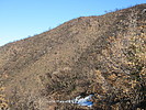 photo thumbnail #15