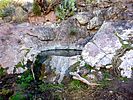 2021-02-04 :1: Anniversary Arch Loop :: kingsnake