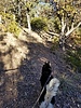 2021-02-06 :1: Pleasant Valley Vista Loop #9 :: e010584