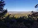recent photo