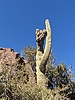 photo thumbnail #2