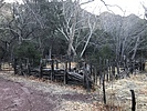 photo thumbnail #13