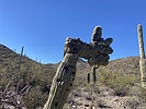 photo thumbnail #2
