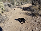 photo thumbnail #3
