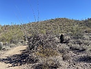 photo thumbnail #4