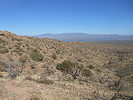photo thumbnail #9