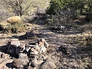 photo thumbnail #4