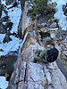photo thumbnail #9