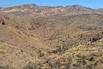 photo thumbnail #3
