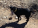 photo thumbnail #3