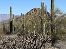photo thumbnail #1