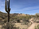 photo thumbnail #1