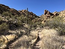 photo thumbnail #3
