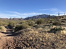 photo thumbnail #6