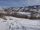 photo thumbnail #2