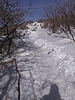 photo thumbnail #6