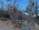 photo thumbnail #1