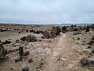 photo thumbnail #4