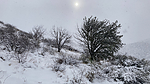 photo thumbnail #15