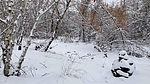 photo thumbnail #12
