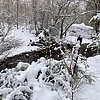 photo thumbnail #11