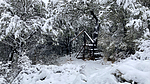 photo thumbnail #10