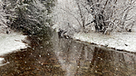photo thumbnail #1