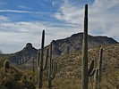 photo thumbnail #15