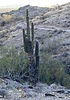 photo thumbnail #11