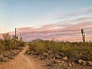 photo thumbnail #11