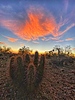 photo thumbnail #12