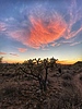 photo thumbnail #13