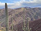 photo thumbnail #7