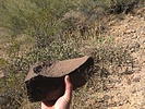 photo thumbnail #6