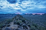 photo thumbnail #5