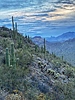photo thumbnail #12