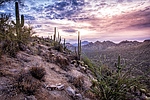 photo thumbnail #14